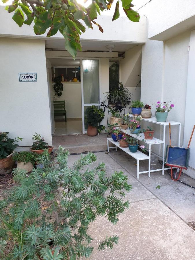 פינה חמה ברמה Apartment Ein Zivan Ngoại thất bức ảnh