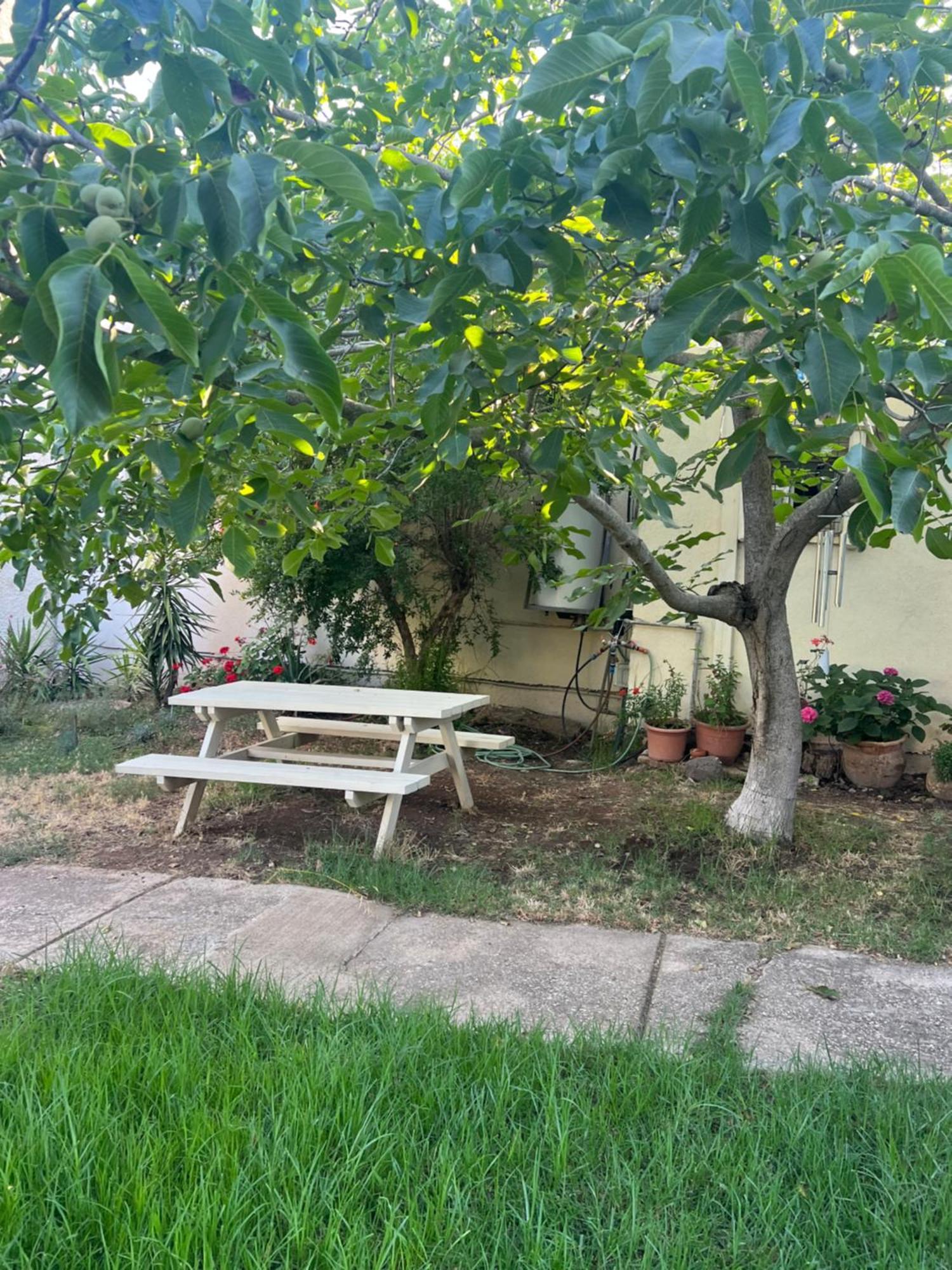 פינה חמה ברמה Apartment Ein Zivan Ngoại thất bức ảnh